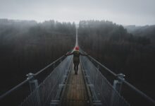 brown wooden bridge over the river