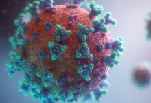 Visualization of the coronavirus causing COVID-19