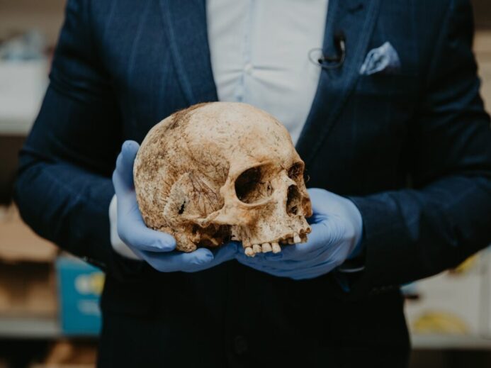person in blue long sleeve shirt holding brown skull