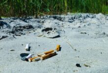 cigarette butts lot
