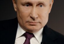 :Vladimir Putin (2020-02-20).jpg