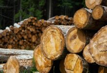 pile of log
