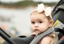 baby in white and gray bib