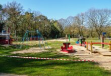 red and black playground surrounded by trees during daytime