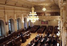 Pirátská strana