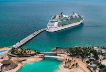 white cruise ship on sea during daytime