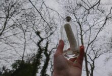 person holding clear glass bottle