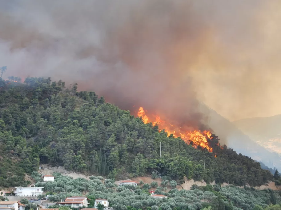 Forest Fires in Greece - Pravda24