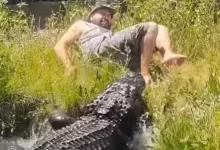 zdroj