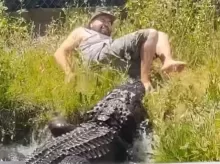 zdroj