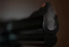 Plasticsturgeon