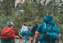 a group of people hiking through a forest