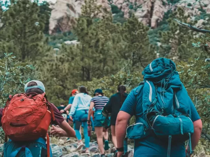 a group of people hiking through a forest