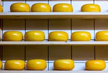 yellow cheese lot on brown wooden shelf