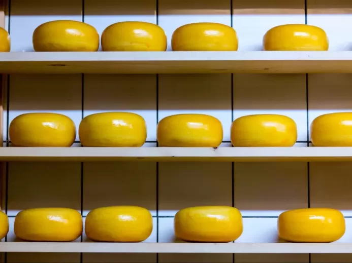 yellow cheese lot on brown wooden shelf