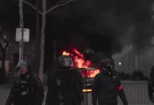 Three Firemen Standing Near Trees