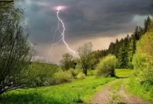thunderstorm, trees, path
