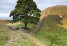 Sycamore Gap - Hadrians Wall