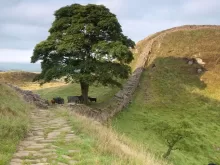 Sycamore Gap - Hadrians Wall