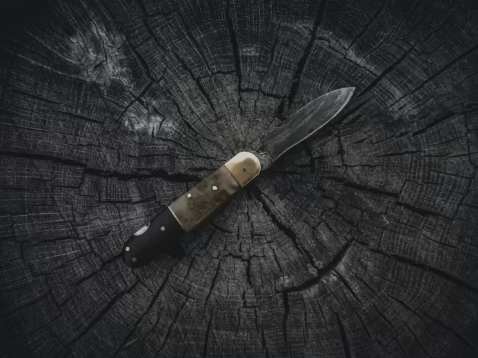 Folding Knife