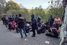 Dva převaděči byli zadrženi na hraničním přechodu ve Zlínském kraji. Převáželi 42 migrantů