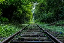 train rail surround by trees