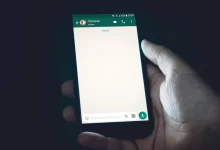 person holding smartphone
