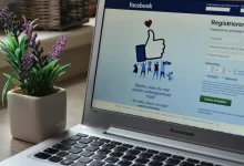 Photo of Laptop Near Plant