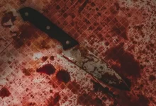 black handled knife on white and red checkered textile