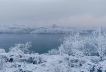 winter, nature, season