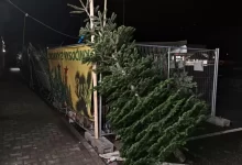 zdroj
