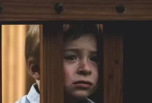 boy leaning on brown wooden railings