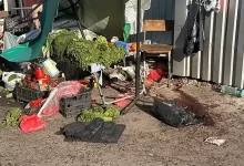 Андрій Чижевський