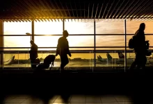 airport, terminal, man