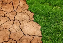 global, warming, climate