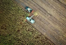 two trucks on plant field