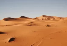landscape photography of desert