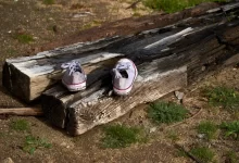 a pair of shoes that are sitting on a log