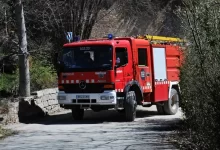 firetruck beside green trees during daytime