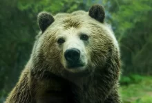 Zdroj