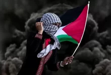 woman, hijab, palestinian flag