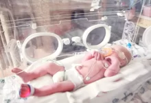 baby lying in incubator