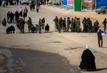 people wearing green military suit