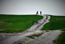 way, bike, bicycles