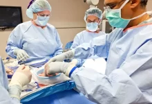 První žijící příjemce prasečí ledviny umřel pár měsíců po transplantaci