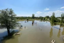 zdroj