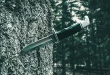 black and silver knife on brown tree