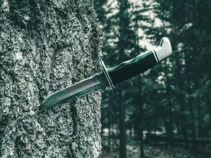 black and silver knife on brown tree