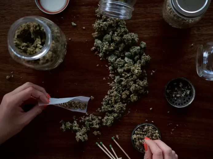 person holding paper on kush