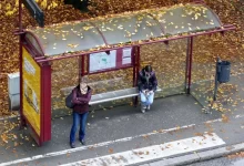 foliage, autumn, bus stop